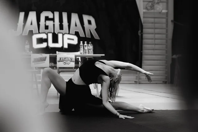 Pokaz podczas Jaguar Cup